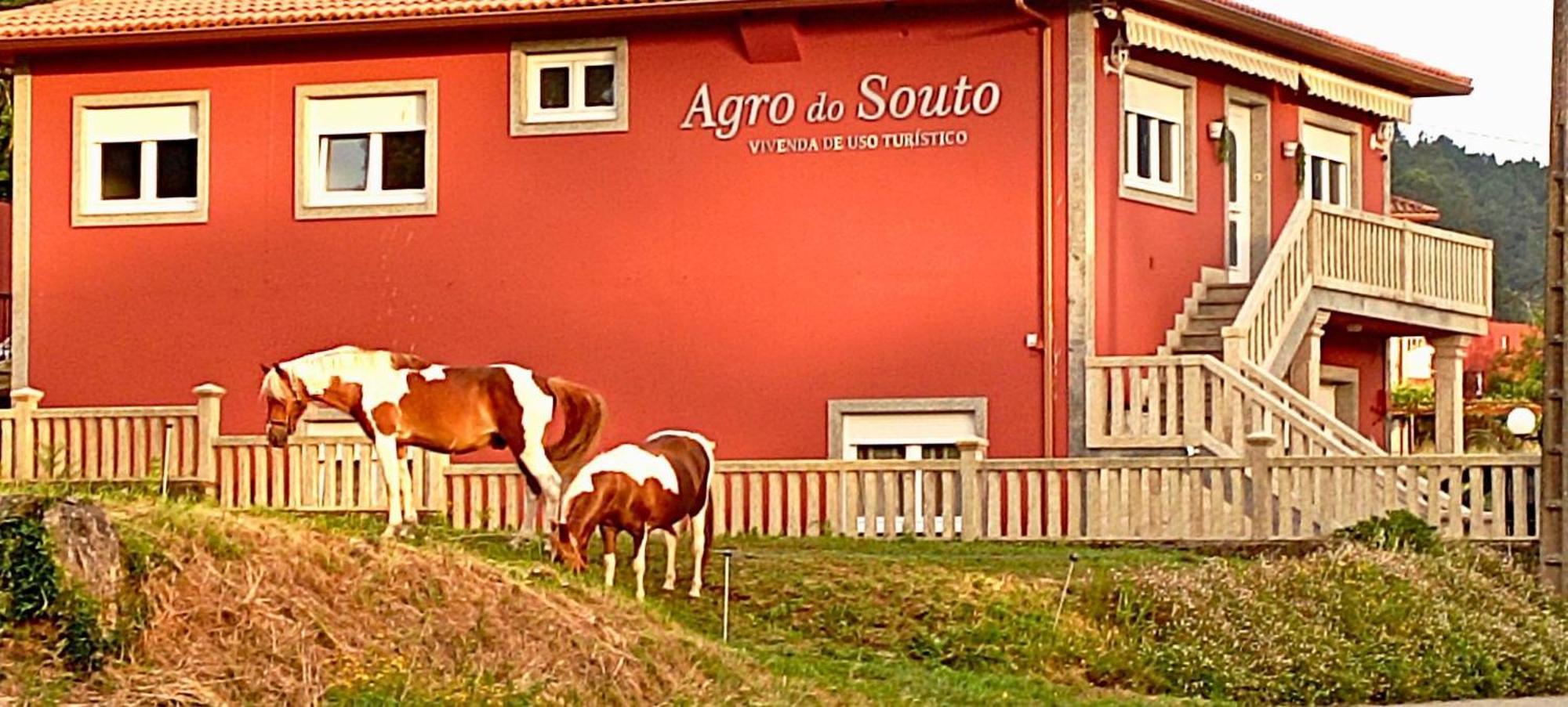 Agro Do Souto, Noia - Villa Completa Esterno foto